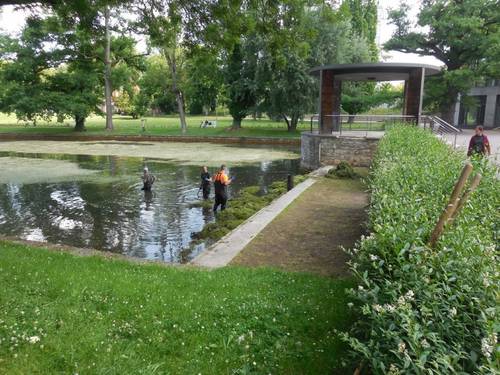 Reinigung Weimarhallenteich