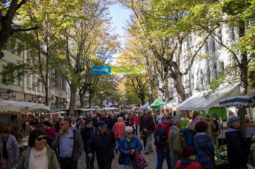 Die Marktleitung geht von gut 230.000 Besucherinnen und Besuchern aus, die den 369. Weimarer Zwiebelmarkt seit Freitag besucht haben.