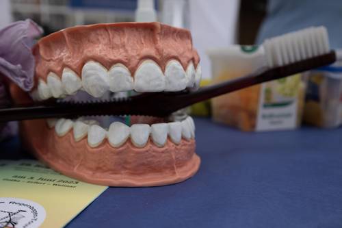 Tag des Gesundheitsamtes, Archivbild