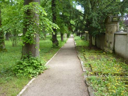 Wegesanierung Hauptfriedhof Weimar: Arbeiten im 3. Bauabschnitt abgeschlossen