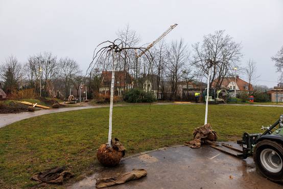 Am Spitalweg (Polizeispielplatz) wurden im Rahmen der jährlichen Baumpflanzung sechs Klimabäume  und zum ersten Mal Willkommensbäumchen für die Neugeborenen 2024 gepflanzt.