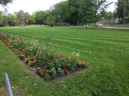 Neben der Mahd der Rasenflächen werden die Pflanzbeete, welche den Teich flankieren, mit dem diesjährigen Konzept der Wechselflorbepflanzung ausgestattet.