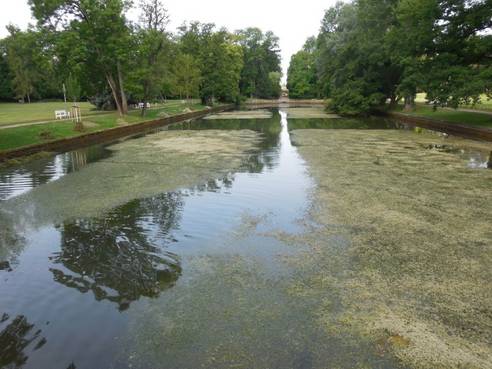 Reinigung Weimarhallenteich