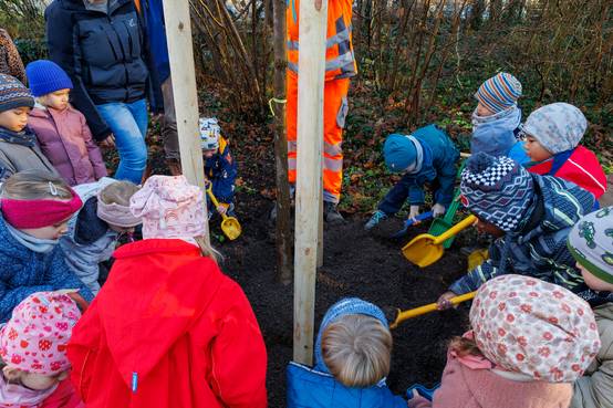 Unterstützung erhielten die Mitarbeitenden von Kindern der Kita Hufeland, die mit Begeisterung beim Auffüllen des Pflanzlochs mithalfen und den jungen Baum an seinem neuen Platz herzlich begrüßten.