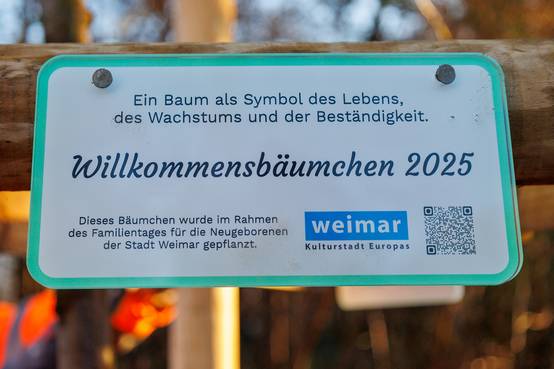 Die Bäumchen werden jährlich zu den Weimarer Familientagen ausgegeben. Familien können sie im eigenen Garten pflanzen oder der Stadt für öffentliche Grünanlagen überlassen.