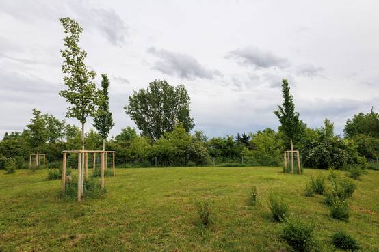 Überblick über neue Hundewiese
