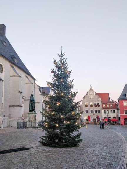 Weihnachtsbaum auf dem Herderplatz, Archivbild 2020.