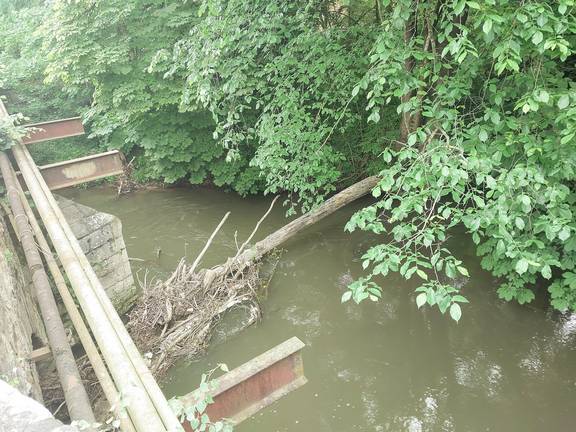 Schwemmgut an der Steinbrücke