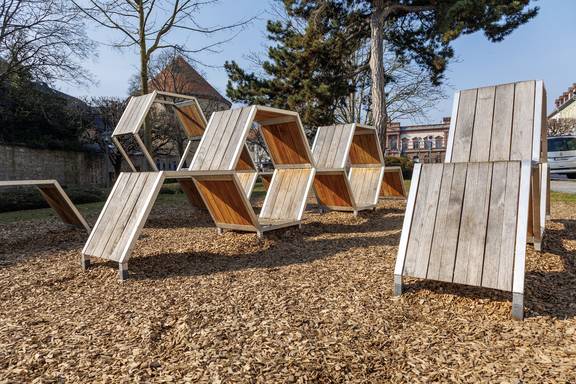 Die Waben am Obergraben