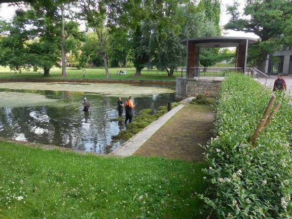 Reinigung Weimarhallenteich