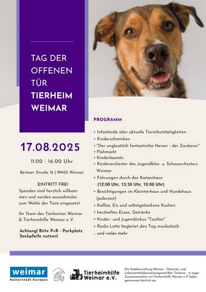 Tag der offenen Tür 2025