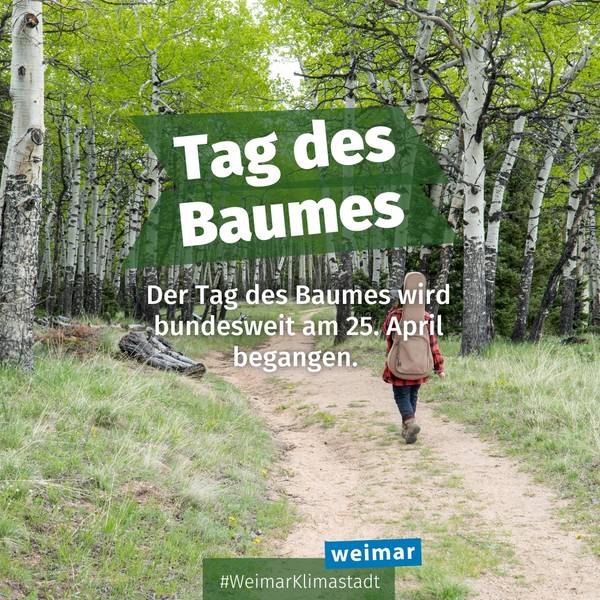 Der Tag des Baumes wird bundesweit am 25. April begangen.