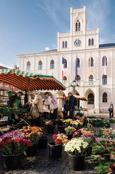 Wochwnmarkt Rathaus