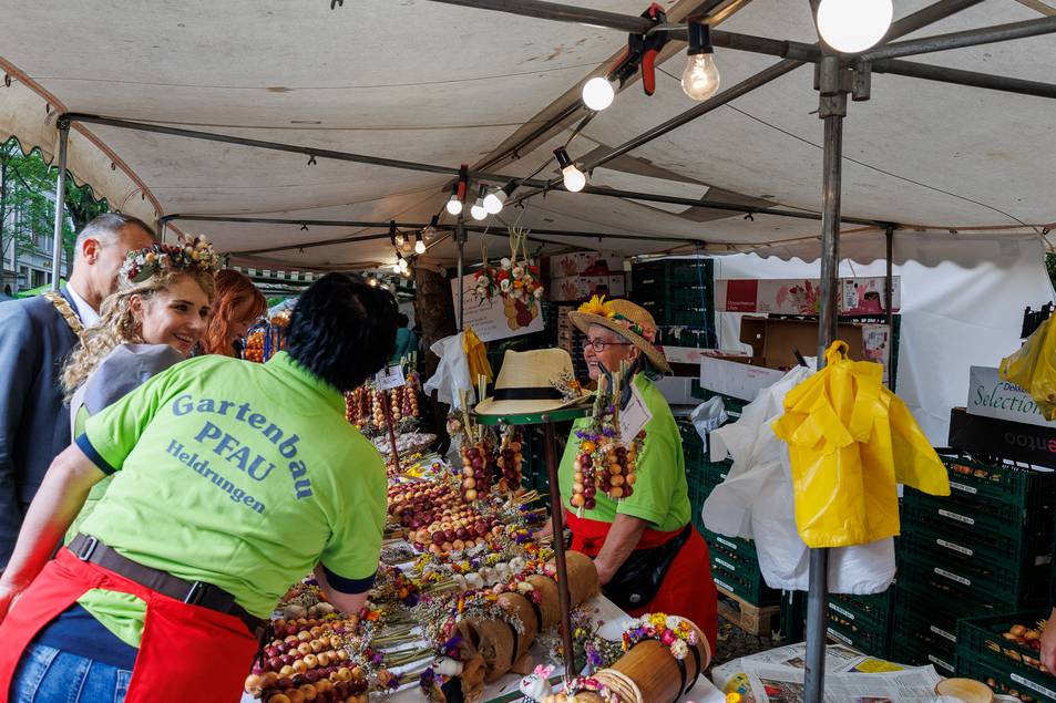 Elfriede Pfau ist ein Zwiebelmarkt-Urgestein . Seit 1955(!) ist sie dabei und verkauft Zwiebelrispen - auch in diesem Jahr mit inzwischen 84 Jahren.