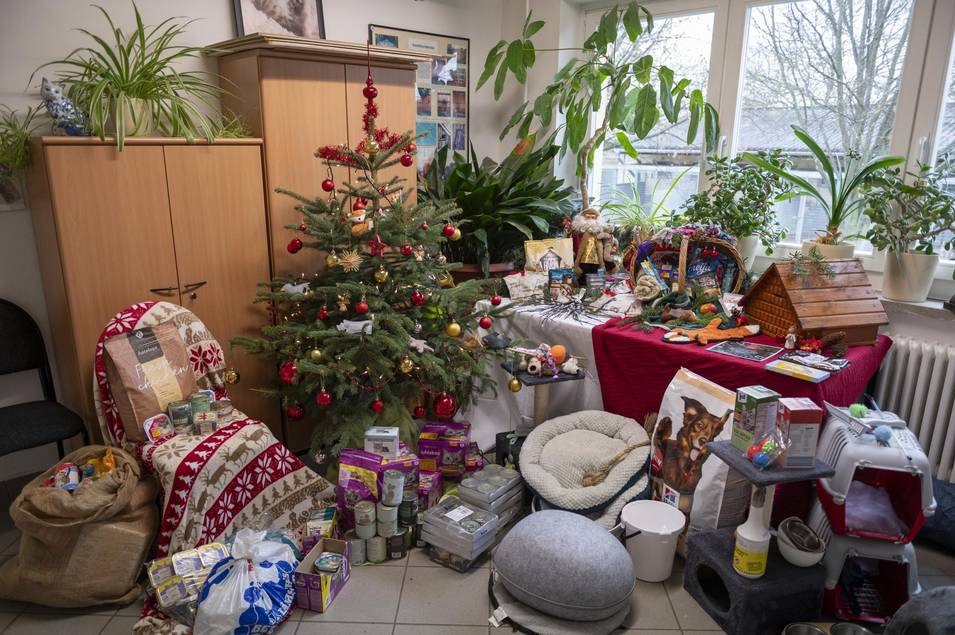 Tierheim Tierische Weihnachten 00699