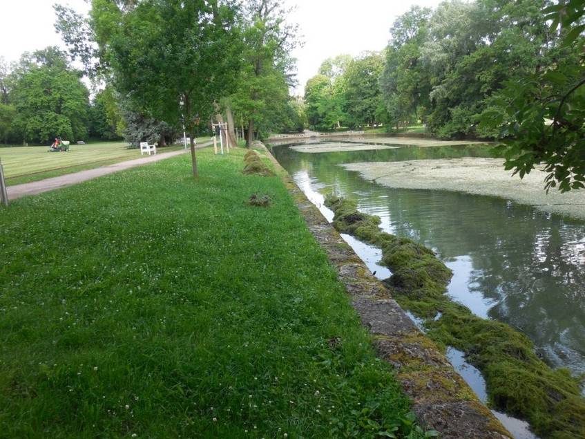 Reinigung Weimarhallenteich