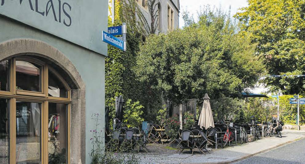 An der Creperie am Palais wurde passenderweise französischer Ahorn angepflanzt.