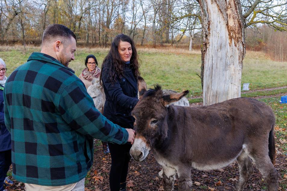 Das weitläufige Gelände befindet sich oberhalb Herders Ruh.