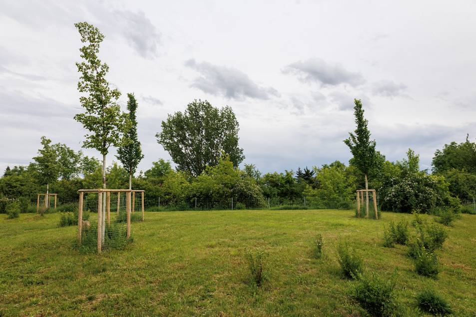Überblick über neue Hundewiese