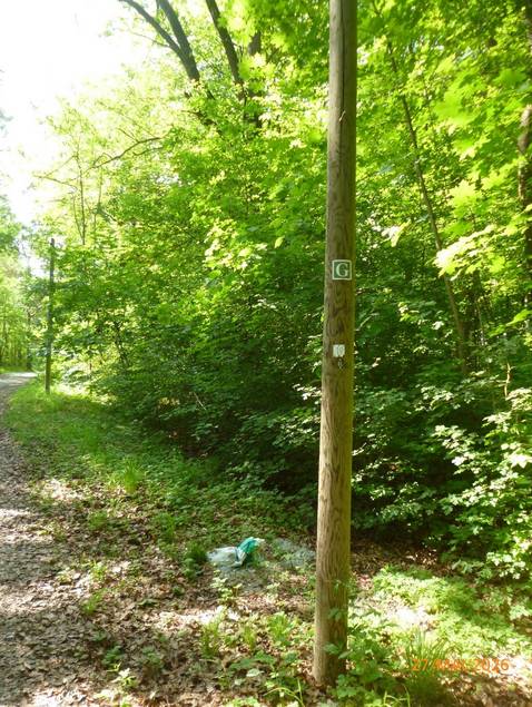 Gehädrich/Goethwanderweg