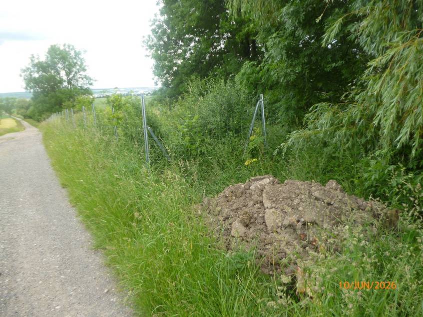 In der Sühne/Gelmeroda