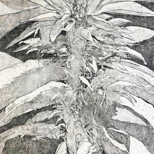 „Fleur“, Radierung 2025