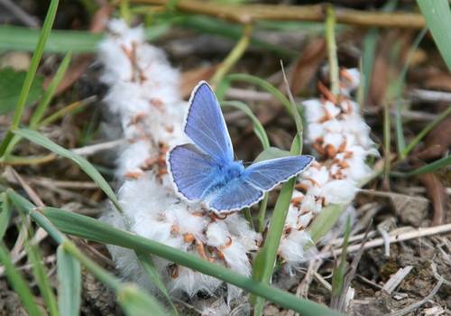 Fördermittel für Umwelt- und Naturschutzprojekte