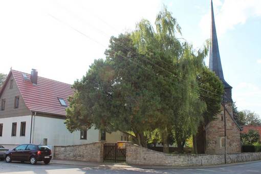 "Feiningerkirche" (Gelmeroda)