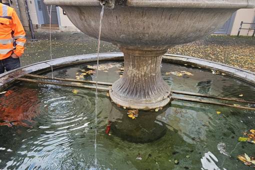 Auch im Löwenbrunnen wurde ein Goldfisch ausgesetzt.