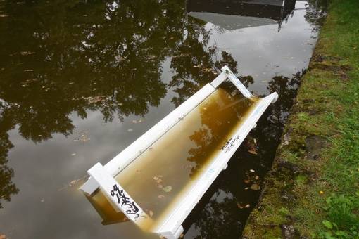 Bank im Weimarhallenteich