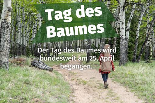 Der Tag des Baumes wird bundesweit am 25. April begangen.