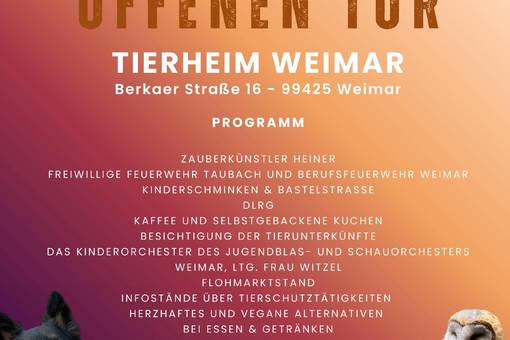 Tag der offenen Tür 2026