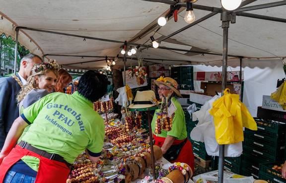 Elfriede Pfau ist ein Zwiebelmarkt-Urgestein . Seit 1955(!) ist sie dabei und verkauft Zwiebelrispen - auch in diesem Jahr mit inzwischen 84 Jahren.