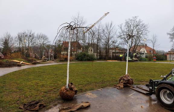 Am Spitalweg (Polizeispielplatz) wurden im Rahmen der jährlichen Baumpflanzung sechs Klimabäume  und zum ersten Mal Willkommensbäumchen für die Neugeborenen 2024 gepflanzt.