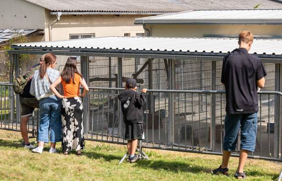 Tag der offenen Tür im Tierheim 2025