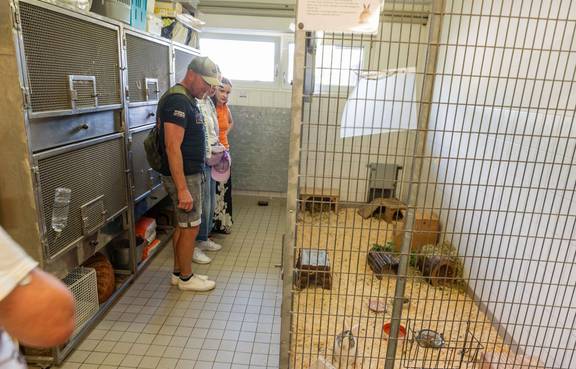 Tag der offenen Tür im Tierheim 2025