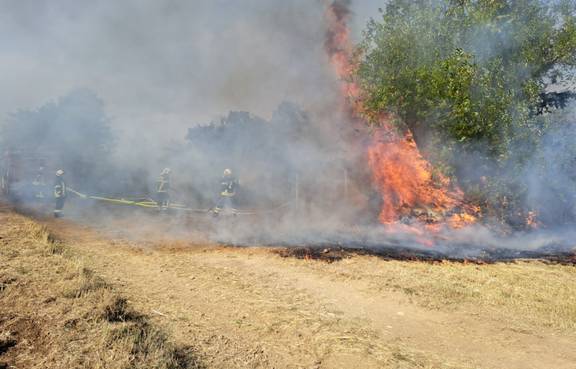 Feldbrand in Dürrenbacher Hütte