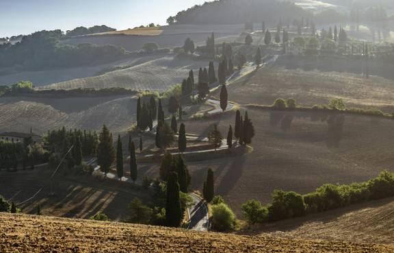 achim ruhnau ZiGu4ZRyZ I unsplash