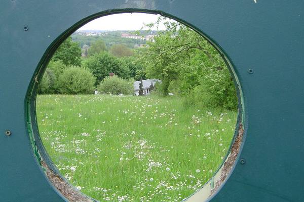 csm gel ndebild9 14d82ad688