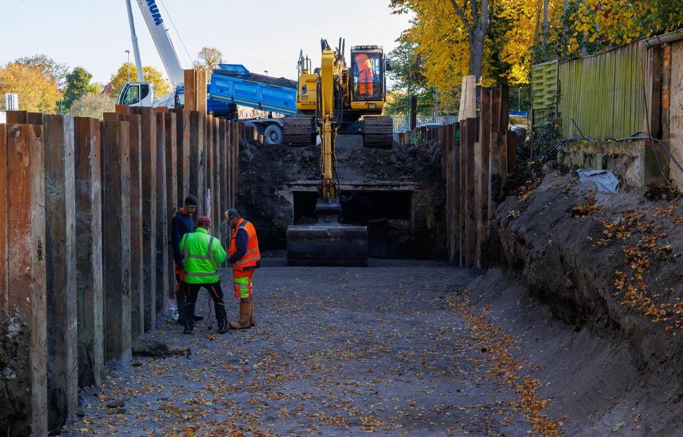 Bautenstand 23.10.2024