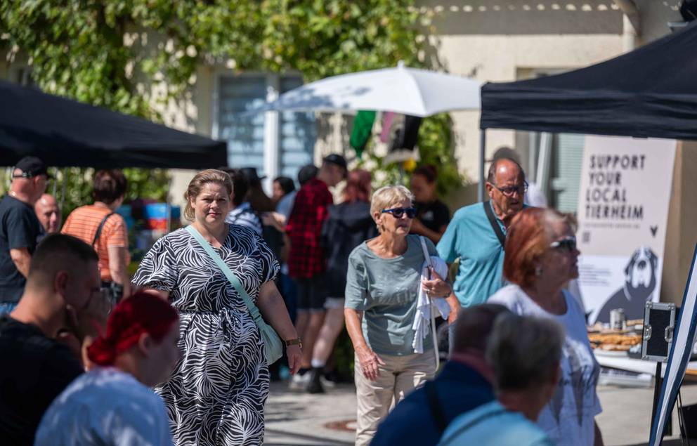 Tag der offenen Tür im Tierheim 2025